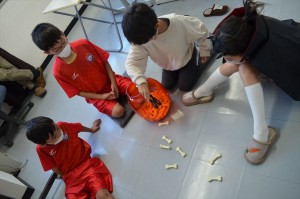 DSC_0217_R22hlsat