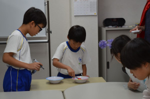 DSC_1266_R24hw