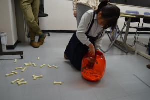 DSC_1310_R24hw