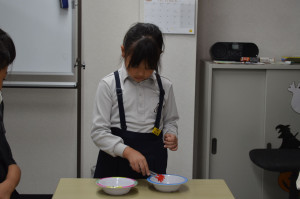 DSC_1317_R24hw
