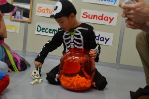 DSC_1706_R23hl