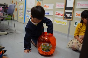 DSC_1778_R23hl