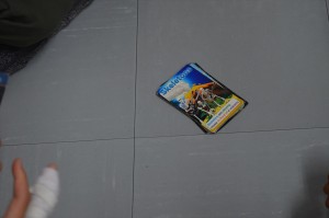 DSC_2064_R22hlwed