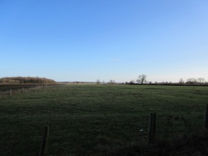 IMG_4179