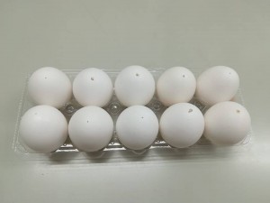 eggs